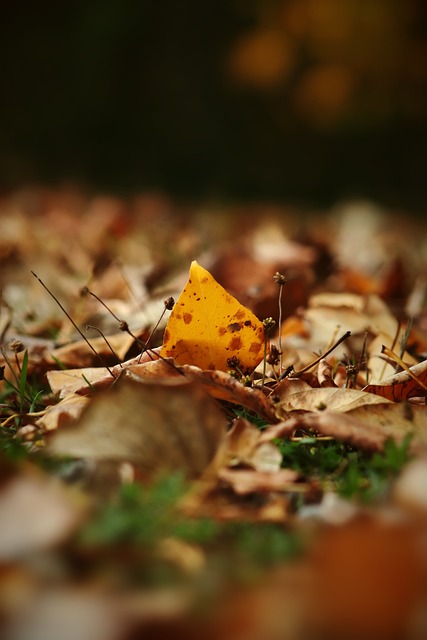 著高度的職 著高度的職