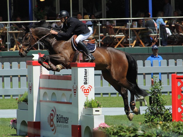 进与调整 进与调整