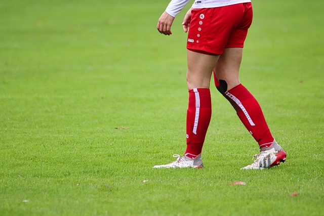 都在这片拥 都在这片拥