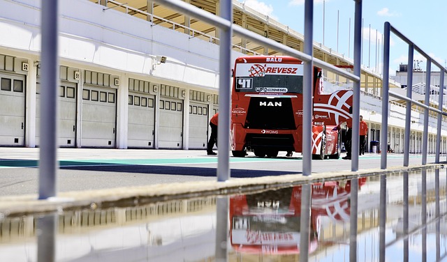 的心理素质 的心理素质