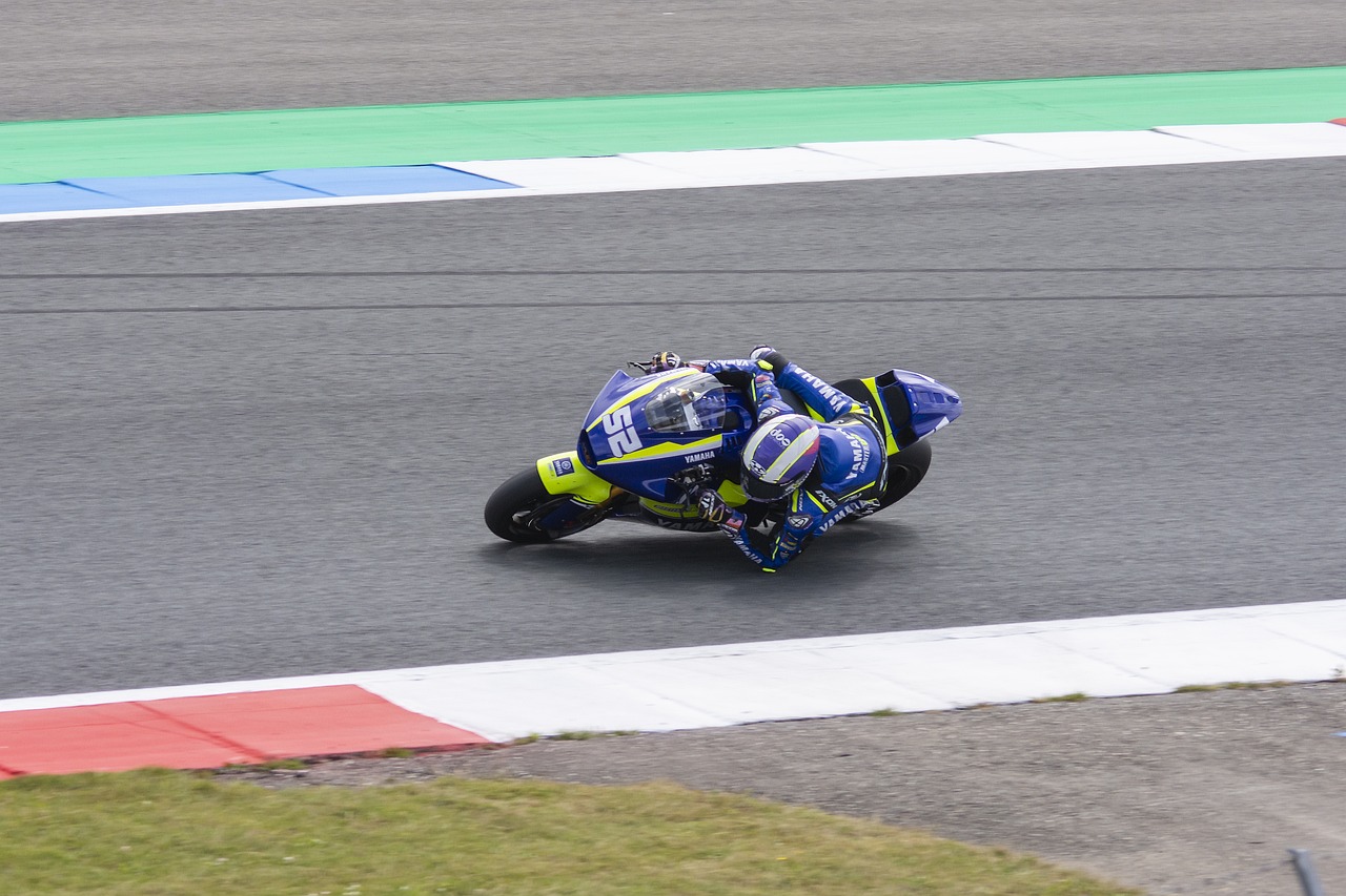 从而展现出 从而展现出