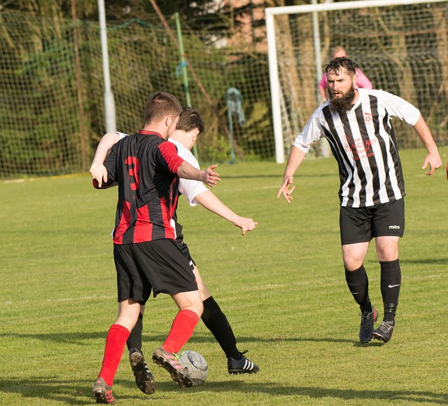 的生活质量 的生活质量