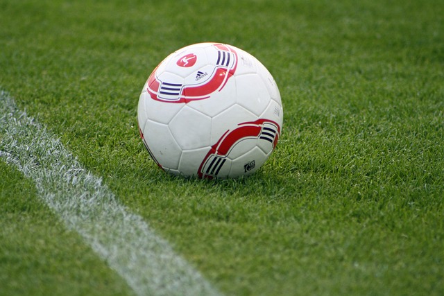 作为联盟中 作为联盟中