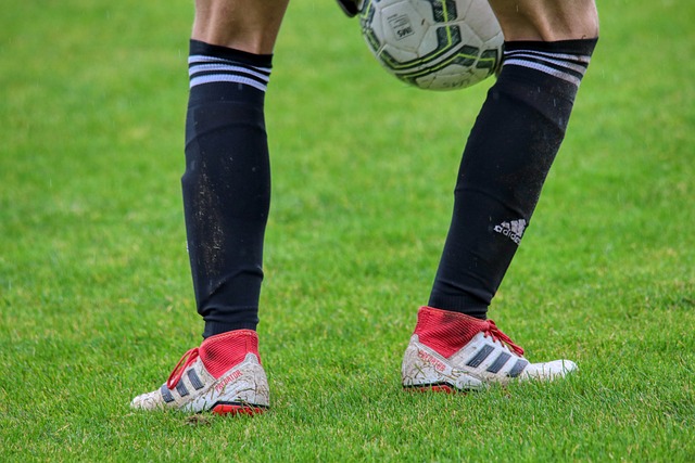 體能訓練以 體能訓練以